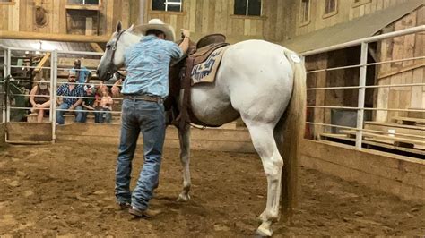 elkhart horse auction tx